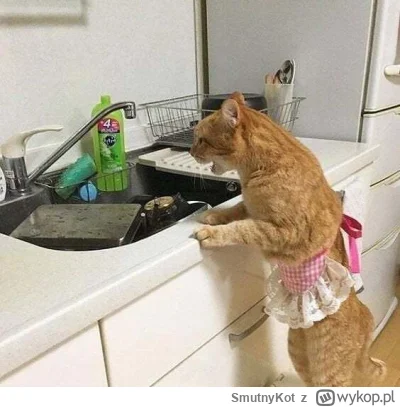 SmutnyKot - Służącą sobie kurna znaleźli.
#dziwnekotki