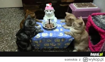 somskia - Ech, dziś osiągnęłam swój 31 lvl życia. 
Subskrupcja [WANNA BABCIE] rusza o...