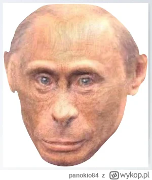 panokio84 - @Vinizius: nikt się nie zastanawia kto jest twoim sojusznikiem