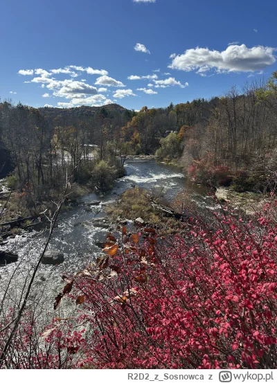 R2D2zSosnowca - @R2D2zSosnowca Housatonic to największa rzeka regionu i większa w sta...