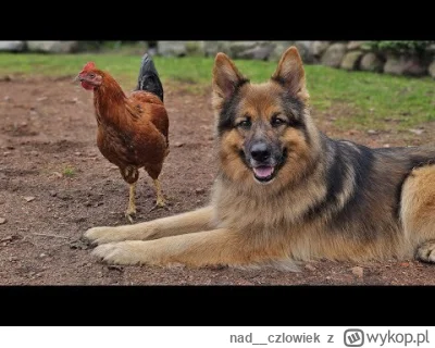 nad__czlowiek - #programowanie #programista15k #programista25k #pracbaza #java #praca...