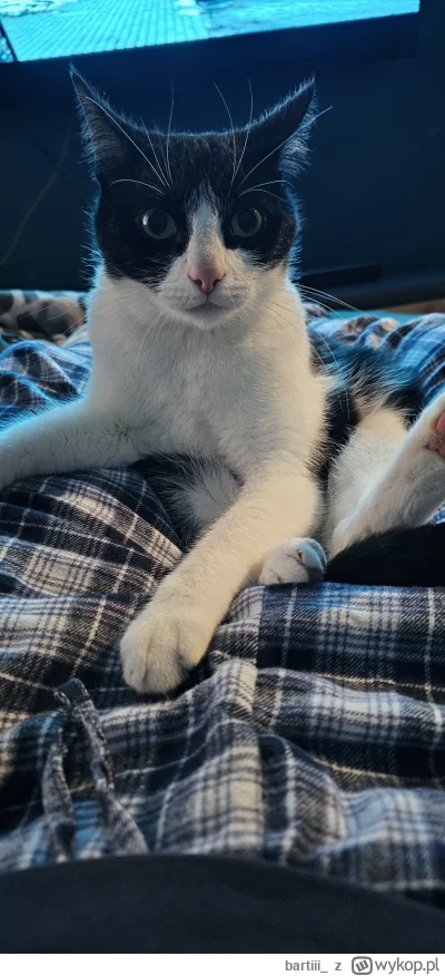 bartiii_ - O co mu chodzi?

#pokazkitku