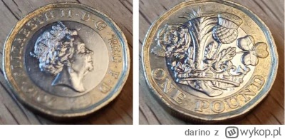 darino - 1 funt z 2019r
#numizmatyka #monety