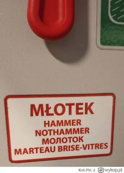 Kot-Pin - TO W KOŃCU HAMMER CZY NIE #podroze