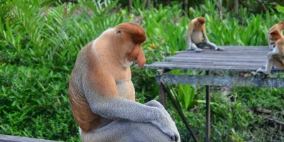 PiersiowkaPelnaZiol - Ehh, 3x w ciągu 2 miesięcy ktoś chłopa obrysował tym razem cały...