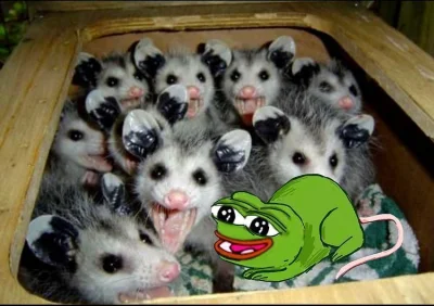 ada_lovelace - #pepe