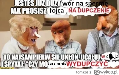 tomkol - #konkursnanajbardziejgownianymemznosaczem