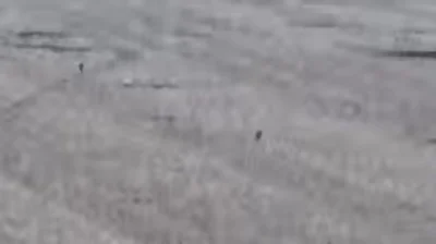 IksdeHeheh - @Grooveer: xDDDDDDDDDDDDDDDDDDDDDDDDDDDDDDDD
Póki co to szturmujecie kal...