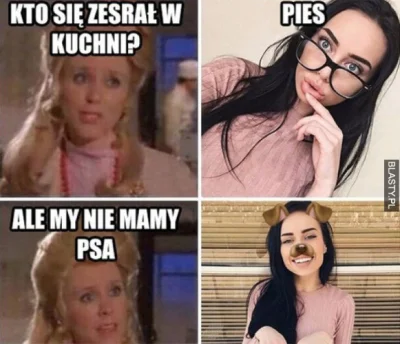 RasowyAfroamerykanin - #psiarze #bekazpodludzi #patologiazmiasta