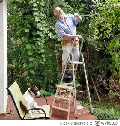 CipakKrulRzycia - @thorgoth: w ogrodnictwo to raczej Janusz. Choć i zasieki umie post...