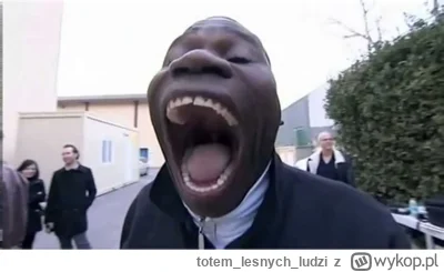 totemlesnychludzi - #kiszak rajan koslink: istnieje
biszak: