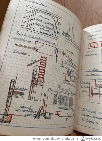 whosyourdaddysnakegirl - @whosyourdaddysnakegirl