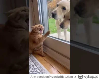 ArmageddonPrzeciwBladziom - https://www.youtube.com/shorts/KraHXZyRhD8?feature=share
...