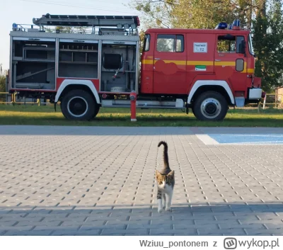Wziuu_pontonem - Ktoś doceni jakie zdjęcie uchwyciłem w chwili ulotnej jak notka?