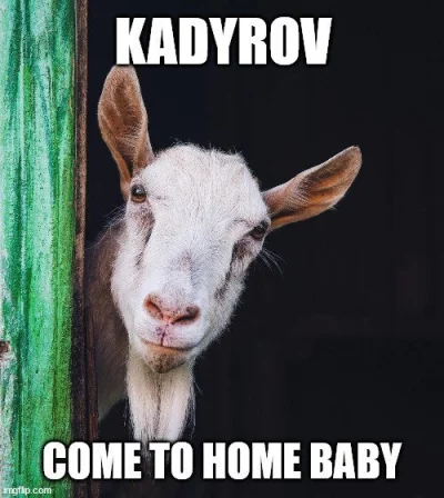 Bumm - Wysłać Kadyrowa żeby zneutralizował zagrożenie. Kadyrowcy zabiorą nowe żony do...