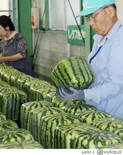 -pafel - #heheszki #smieszneobrazki teraz w Chinach robią kwadratowe arbuzy bo więcej...