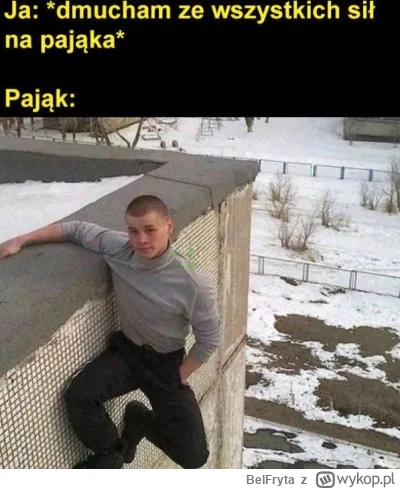 BelFryta - #heheszki #humorobrazkowy