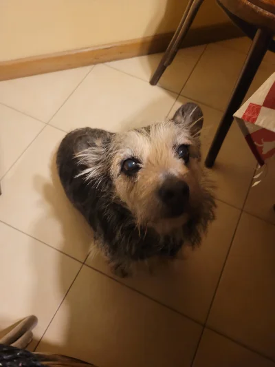 M.....s - Niestety dzisiaj musiałam pożegnać się z moją najlepszą przyjaciółką, z któ...