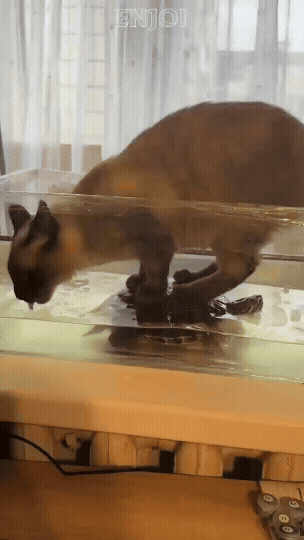 jestemtakizmeczony - woda żółwiowa zdrowia doda