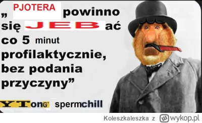 Koleszkaleszka - #konkursnanajbardziejgownianymemznosaczem