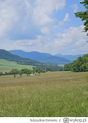 Szyszkachmielu - @Szyszkachmielu: