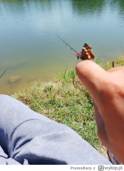PrezesKarp - @Vegasik69 jeszcze ziomek wpadł