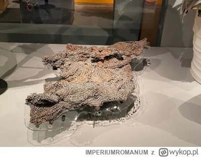 IMPERIUMROMANUM - Zachowana rzymska kolczuga

Zachowana rzymska kolczuga znaleziona w...