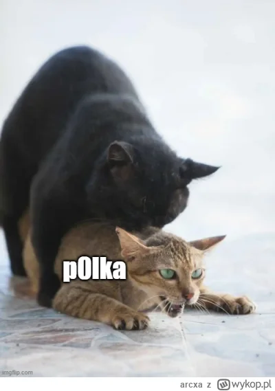 arcxa - @youngP: brutalne