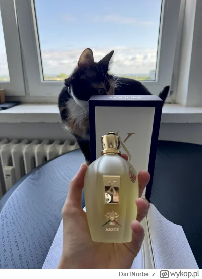 DartNorbe - Pierwszy ze stajni Xer, zapach bogatego ku^wiarza ( ͡° ͜ʖ ͡°) #perfumy