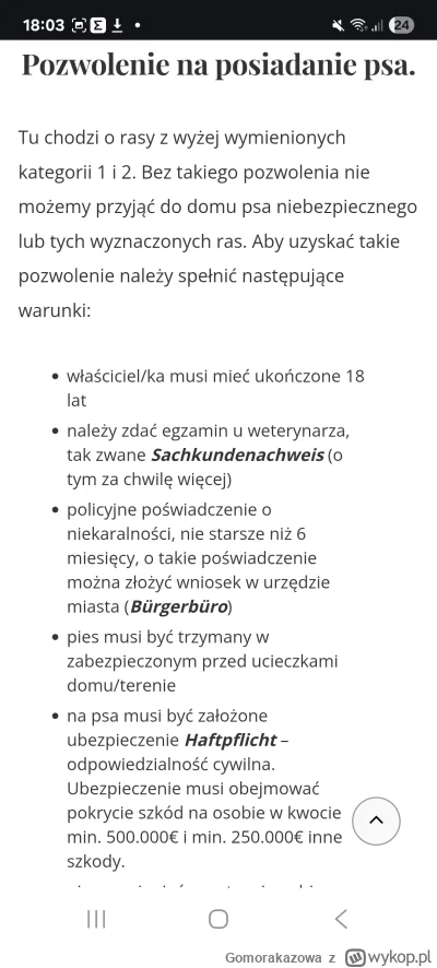 Gomorakazowa - Najbardziej mnie irytuje że Polacy uczą się wszystkiego od nowa, jakby...