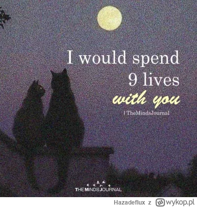 Hazadeflux - koty cię obgadują chyba, przyznaj się co odjaniepawliłeś.  tak po za tym...