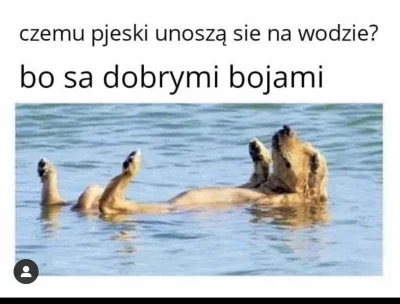 PorzeczkowySok