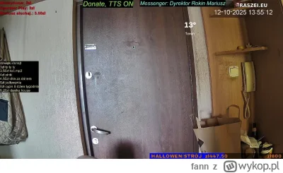 fann - #danielmagical #patostreamy