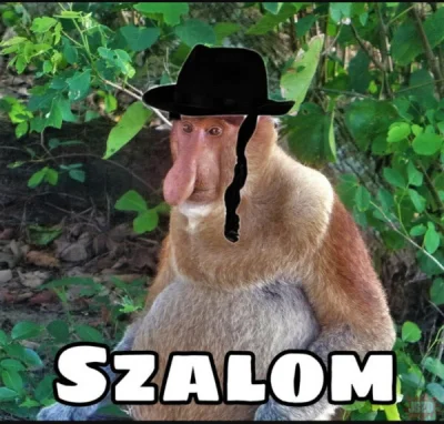 XXXBorisGromow24cmXXX - @bulba1605 oho ciekawe skąd na to pienionżki