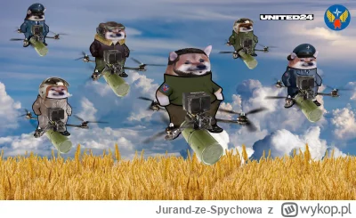 Jurand-ze-Spychowa - @robert5502: Którędy na Moskwę?