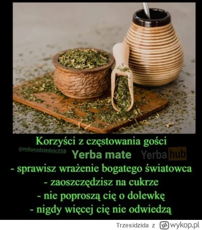 Trzesidzida - @larine: (ʘ‿ʘ)

PS Yerba to jest smak nabyty. Kawa czy piwo też nie sma...