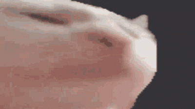 PROponujek - JEDZIEMY (spóźnione xddd)
Tradycje trzeba pielęgnować. Kocur musi być! ...