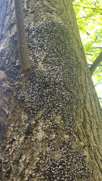 Chlopakizdzialeczek - @Chlopakizdzialeczek: