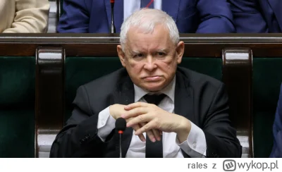 rales - Czy w tym roku pisowskie szaleństwo dobiegnie końca?
#polska #polityka #ankie...