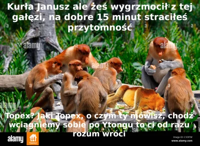 janielubie - #konkursnanajbardziejgownianymemznosaczem