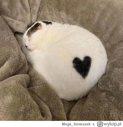 Mega_Smieszek