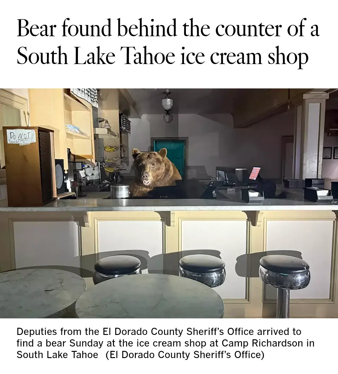 wfyokyga - Misiu niegrzeczny