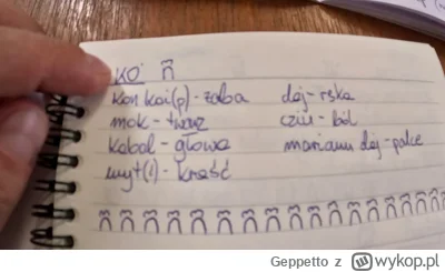 Geppetto - #raportzpanstwasrodka