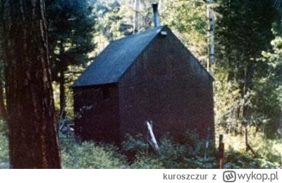 kuroszczur - #przegryw

Taka by wsytarczyła dla huopa. Tylko żeby samoloty nie latali...