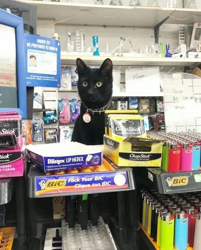 dywergent - ja dla klienta nigdy bulki nie przypalil i sosu za duzo nie dolal