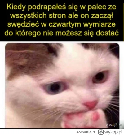 somskia - Oczywiście swędzi mnie noga, ale oczywiście nie na zewnątrz, tylko gdzieś w...