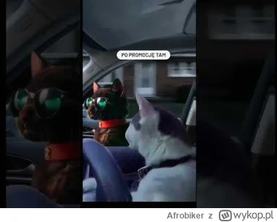 Afrobiker - #jaksobotatotylkodolida #heheszki