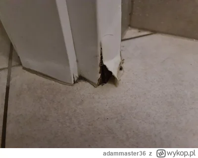 adammaster36 - Cześć,
mam problem z futryną drzwiową, która znajduje się bardzo blisk...