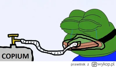 prawilnik - @16kilogramowjablek: