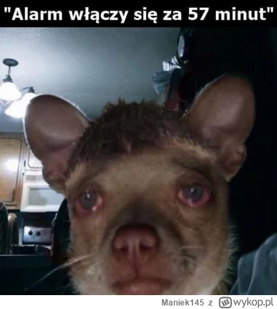 Maniek145 - J-----e znowu to samo